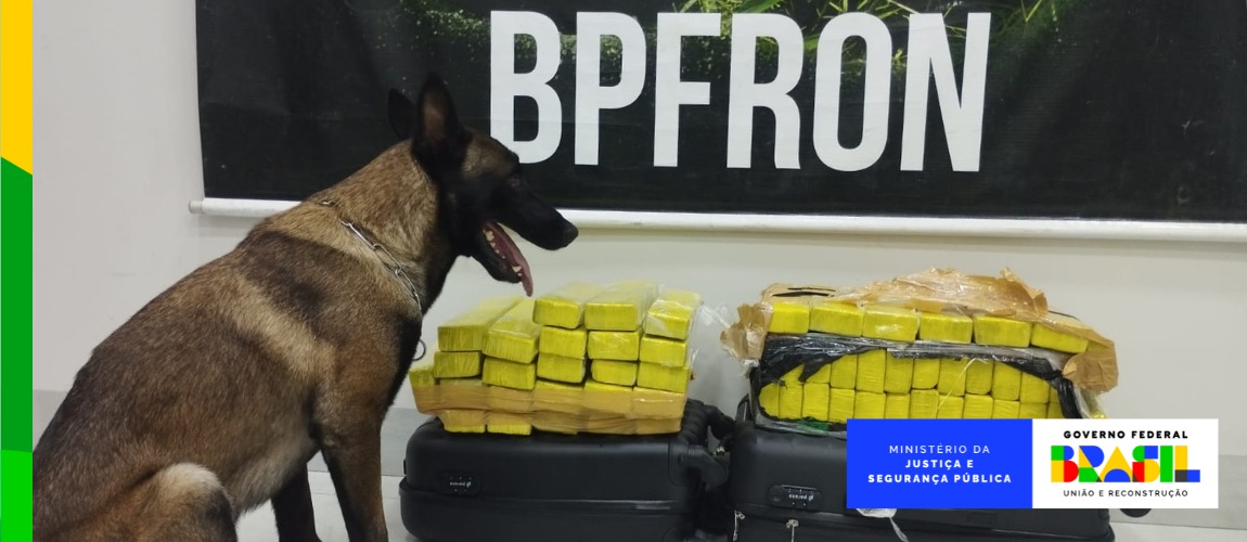 Operação Protetor das Divisas e Fronteiras conta com o olfato apurado dos animais para aumentar a eficiência nas apreensões de substâncias ilegais. Desde o início da força-tarefa, em 2019, organizações criminosas tiveram prejuízo de R$ 1 bilhão